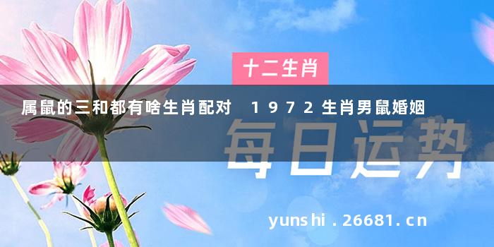 属鼠的三和都有啥生肖配对 1972生肖男鼠婚姻